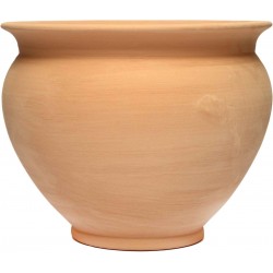 PVA001