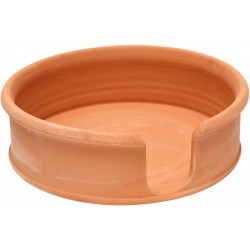 PPI001