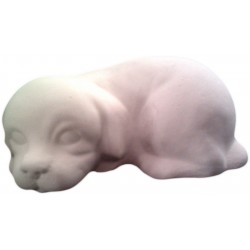 CANB004