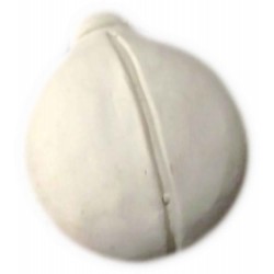 CAAB009