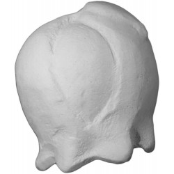 BFR001