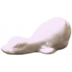 PAPB010