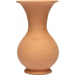 PFI007