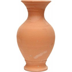 PFI006