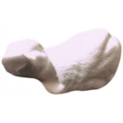PAPB011