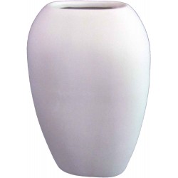 PFIB001