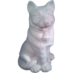 CANB001