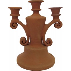 PCA020