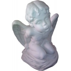 ANGB009
