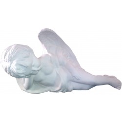 ANGB003