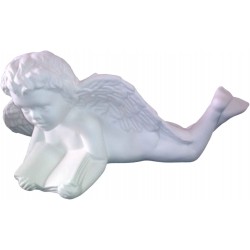 ANGB004
